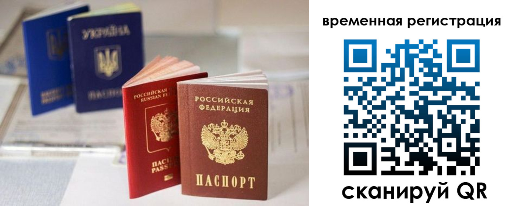 прописка поиск в Новгородской области